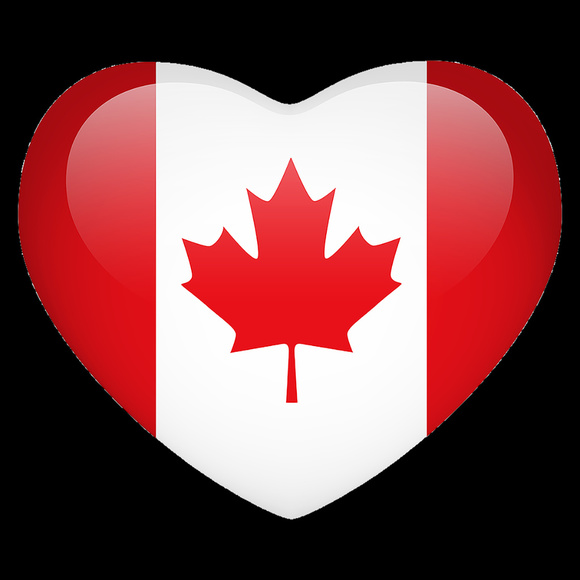 Meet your Posher, Ann - Picture 2 of 2